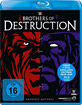 WWE Brothers of Destruction Blu-ray