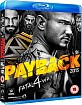 WWE Payback 2015 (UK Import) Blu-ray