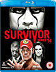 WWE Survivor Series 2014 (UK Import) Blu-ray