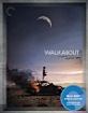 Walkabout (1971) - The Criterion Collection (Region A - US Import ohne dt. Ton) Blu-ray