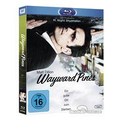 Wayward-Pines-Staffel-1-DE.jpg