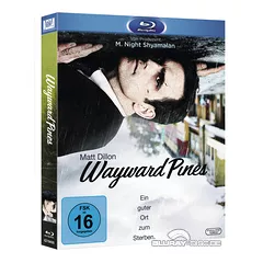 Wayward-Pines-Staffel-1-DE.webp