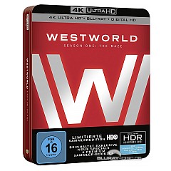 Westworld-Staffel-eins-Das-Labyrinth-4K-3-4K-UHD-und-3-Blu-ray-und-UV-Copy-DE.jpg