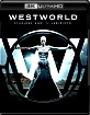Westworld - Stagione Uno: Il Labirinto 4K (4K UHD + Blu-ray) (IT Import) Blu-ray