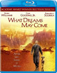 What Dreams May Come (US Import ohne dt. Ton) Blu-ray