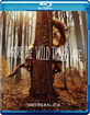 Where the Wild Things Are (US Import ohne dt. Ton) Blu-ray