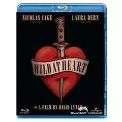 Wild-at-Heart-HK.webp