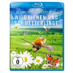 Wildbienen-und-Schmetterlinge-DE.webp