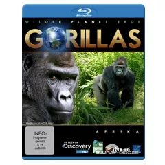 Wilder-Planet-Erde-Afrika-Gorillas.webp