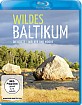 Wildes Baltikum: Die Küste - Wälder und Moore Blu-ray