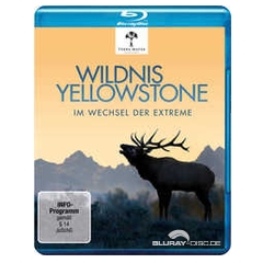 Wildnis-Yellowstone-Im-Wechsel-der-Extreme-DE.jpg