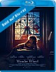 Wonder Wheel (2017) (CH Import) Blu-ray