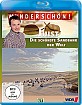 Wunderschön!: Juist - Die schönste Sandbank der Welt Blu-ray