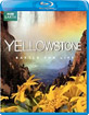 Yellowstone - Battle for Life (US Import ohne dt. Ton) Blu-ray