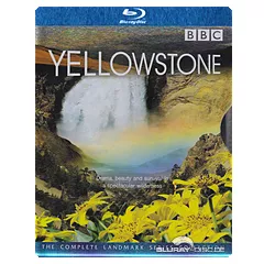 Yellowstone-Steelcase-TH-ODT.webp