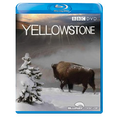 Yellowstone-UK.jpg