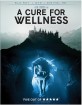 A Cure For Wellness (2016) (Blu-ray + DVD + UV Copy) (US Import ohne dt. Ton) Blu-ray