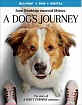 A Dog's Journey (2019) (Blu-ray + DVD + Digital Copy) (US Import ohne dt. Ton) Blu-ray