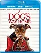A Dog's Way Home (Blu-ray + DVD + Digital Copy) (US Import ohne dt. Ton) Blu-ray