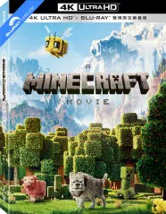 A Minecraft Movie 4K - Limited Edition Fullslip A Steelbook (4K UHD + Blu-ray) (TW Import ohne dt. Ton) Blu-ray