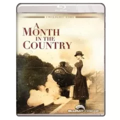 a-month-in-the-country-us.webp