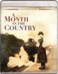 A Month in the Country (1987) (US Import ohne dt. Ton) Blu-ray