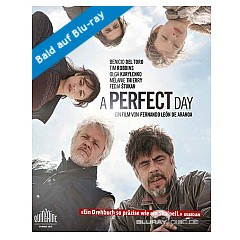 a-perfect-day-ch.webp