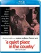 A Quiet Place in the Country (1968) (Region A - US Import ohne dt. Ton) Blu-ray