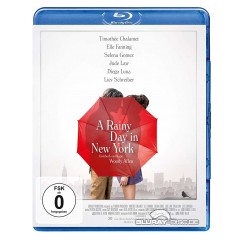 a-rainy-day-in-new-york-final.jpg a-rainy-day-in-new-york-final.jpg