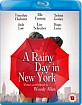 A Rainy Day in New York (UK Import ohne dt. Ton) Blu-ray