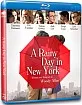 A Rainy Day in New York (Region A - US Import ohne dt. Ton) Blu-ray