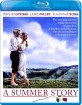 A Summer Story (1988) (Region A - US Import ohne dt. Ton) Blu-ray