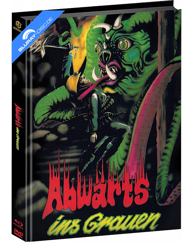 abwaerts-ins-grauen-1985-wattierte-limited-mediabook-edition-cover-c.webp