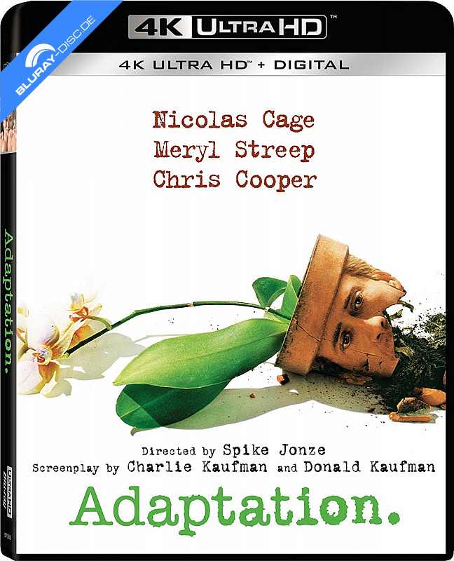 adaptation-4k-us-import.webp