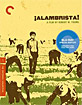 ¡Alambrista! - Criterion Collection (Region A - US Import ohne dt. Ton) Blu-ray