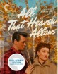 All That Heaven Allows - Criterion Collection (Blu-ray + DVD) (Region A - US Import ohne dt. Ton) Blu-ray