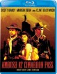 Ambush at Cimarron Pass (1958) (Region A - US Import ohne dt. Ton) Blu-ray
