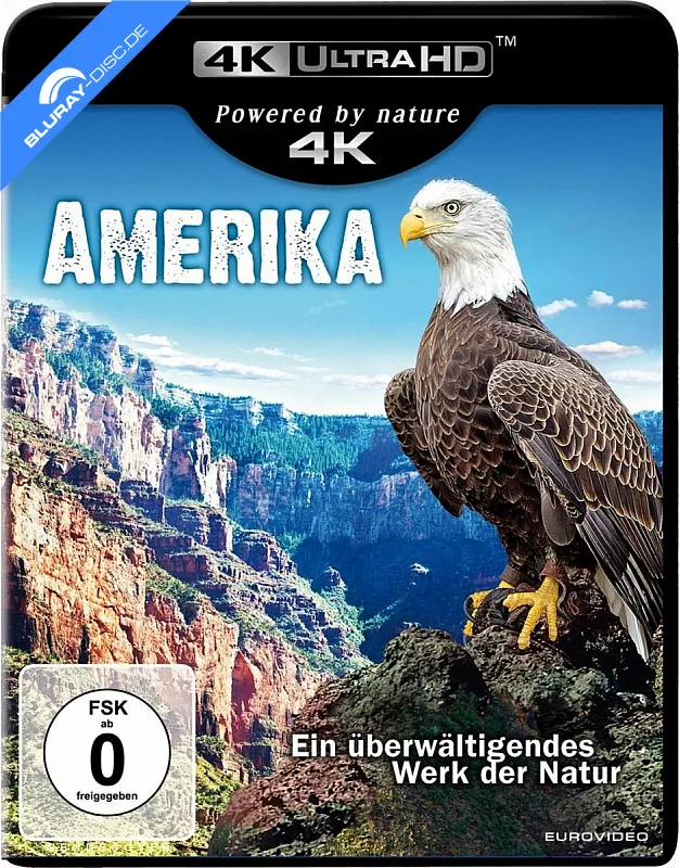 amerika-2016-4k-4k-uhd-neu.webp