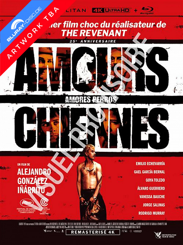 amours-chiennes-4k-edition-limitee-fr-import-draft.jpg