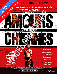 Amours chiennes 4K - Édition Limitée (4K UHD + Blu-ray) (FR Import ohne dt. Ton) Blu-ray