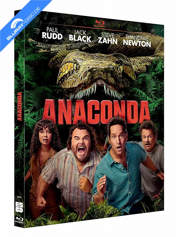 anaconda-2025-fr-import.webp