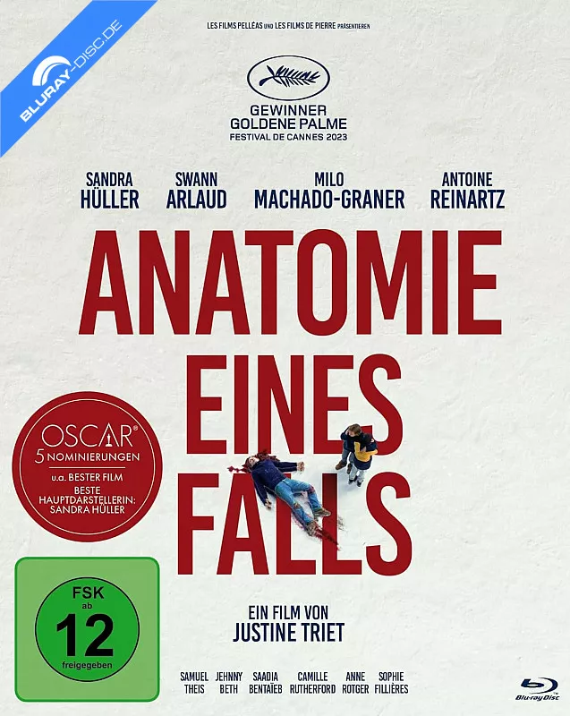 anatomie-eines-falls-de.webp