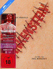 andy-warhols-frankenstein-4k-limited-mediabook-edition-cover-b-4k-uhd---blu-ray---blu-ray-3d-de_klein.jpg