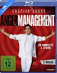 Anger Management - Die komplette dritte Staffel Blu-ray