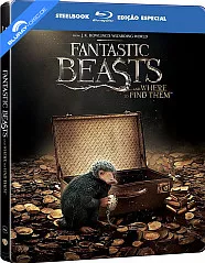 Animais Fantásticos e Onde Habitam (2016) - Edição Especial Steelbook (Blu-ray + Digital Copy) (BR Import ohne dt. Ton) Blu-ray