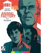 Animal Factory (2000) - Special Edition (Region A - US Import ohne dt. Ton) Blu-ray