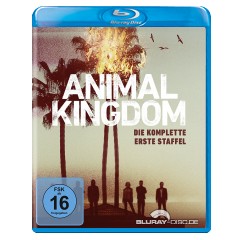 animal-kingdom-die-komplette-erste-staffel-de.jpg