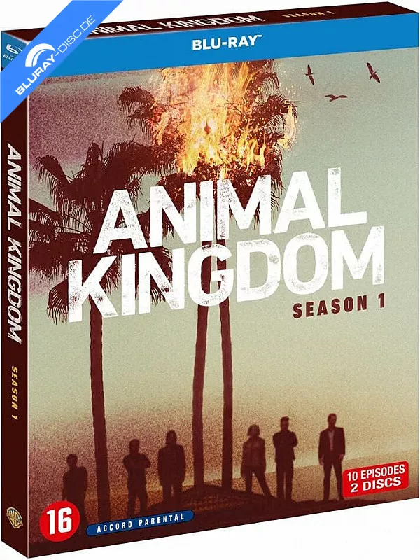 animal-kingdom-saison-1-fr-import.webp