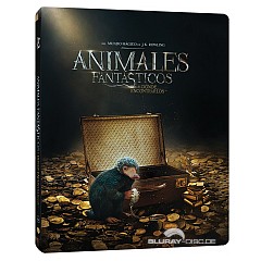 animales-fantasticos-y-donde-encontrarlos-2016-edicion-metalica-blu-ray-and-dvd-es.jpg