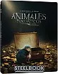 Animales Fantásticos y Dónde Encontrarlos (2016) - Edición Metálica (Blu-ray + DVD) (ES Import ohne dt. Ton) Blu-ray